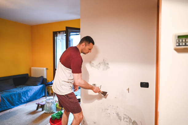Best Home Mold Removal  in Dundee, FL